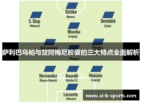 萨利巴乌帕与楚阿梅尼胶囊的三大特点全面解析