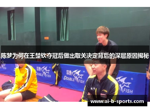 陈梦为何在王楚钦夺冠后做出取关决定背后的深层原因揭秘