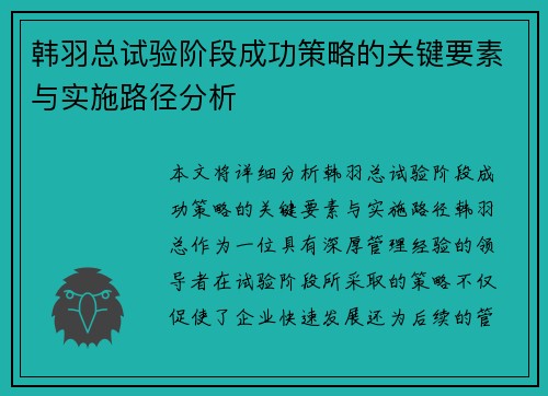 韩羽总试验阶段成功策略的关键要素与实施路径分析